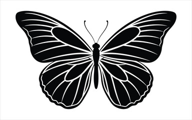 Vectorized Butterfly for print, decoration, Wallpaper, Commercial use, Sketch.