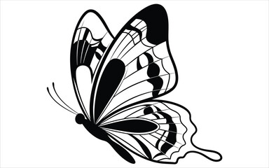 Vectorized Butterfly for print, decoration, Wallpaper, Commercial use, Sketch.