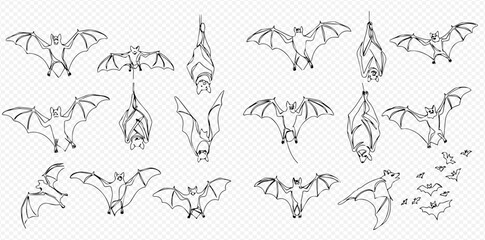 A collection of bat illustrations in various poses, including flying and hanging.