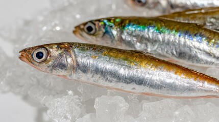 Glistening sardines on ice, reminiscent of ancient maritime feasts, perfect for coastal culinary celebrations and quirky Fish Amnesty Day