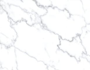 Obraz premium A close-up photograph featuring a bright, white surface with delicate grey veining. The organic pattern creates a natural, luxurious feel
