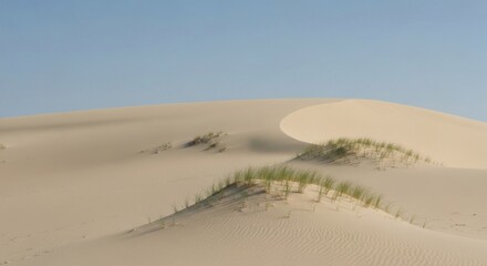 Smooth sand dune landscape, with beachgrass near the crest under a clear, blue sky