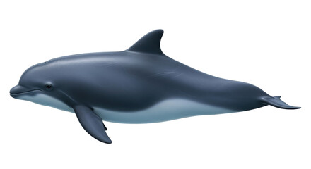 Isolated harbor porpoise illustration swimming in the sea, marine mammal wildlife image