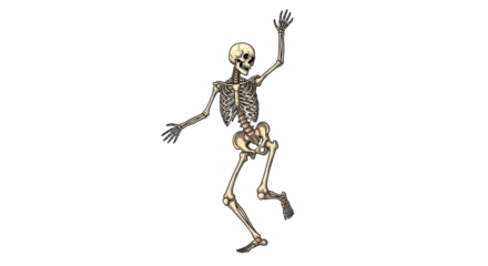 Isolated Skeleton Raising Arm in Cartoon Style, Bone Structure Anatomy and Halloween Decoration