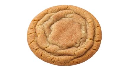 Isolated Snickerdoodle cookie, homemade sugar cookie rolled in cinnamon, holiday treats