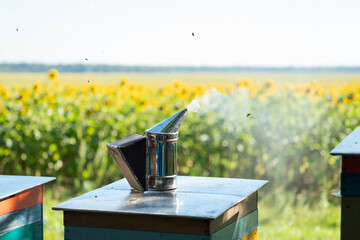 Bee smoker smoking on a hive roof against a sunflower field. A metal bee smoker with smoke coming from it stands on a beehive against the backdrop of flying bees and a field of sunflowers