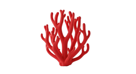 Isolated red coral reef, sea plant life form, ocean organism on display, marine ecosystem