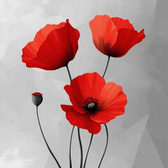 Obraz premium Red poppy flowers on soft gray background in minimalistic style 
