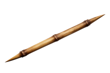 Bamboo skewer with pointed ends