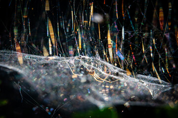 makro © solmaremi