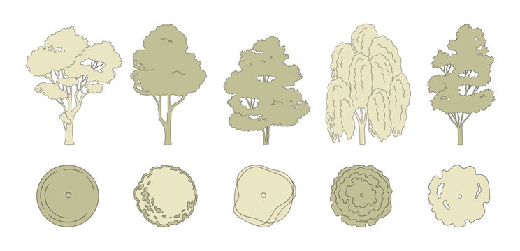 Trees for entourage design. Various trees, bushes, and shrubs, top view for the landscape design plan. Vector illustration.