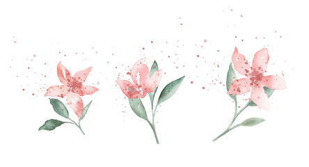 Watercolor set of pink flowers spots with small splashes and green leaves. Hand drawn illustration buds on isolated white background. Soft pastel iridescent watercolors.