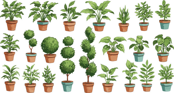 Collection of potted indoor houseplants and topiary illustrations in decorative clay pots, green leafy foliage plant set isolated on white background for home decor design