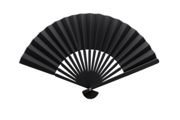 Elegant black hand fan