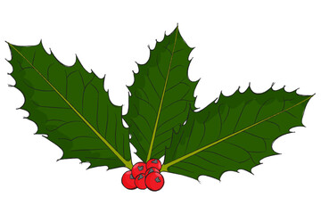 A cartoon sprig of holly with red berries and a black pencil style outline, Christmas or festive design element on a transparent background