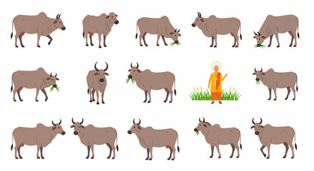 Obraz premium Row of Zebu cattle illustrations some grazing beside a holy man