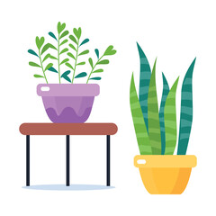 Houseplant and Green Flower Growing in Pot Vector Illustration