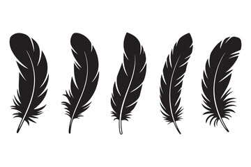 Obraz premium Set of five black feather silhouettes isolated on white background minimalist style 