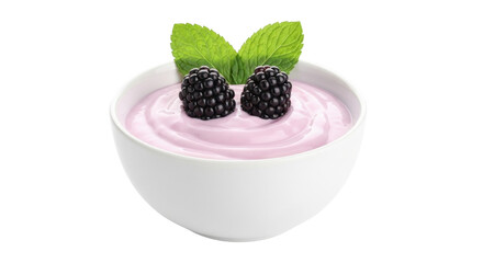 Isolated bowl of blackberry yogurt, healthy breakfast or snack, refreshing dessert treat