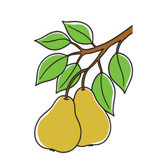  Stylized Drawing of Pears Hanging from a Tree Branch, flat vector illustration