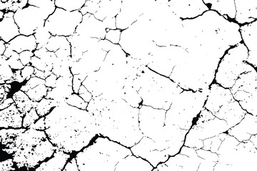 Earth cracks texture on isolated vector illustration. grunge wall paint effect pattern, abstract black and white marble surface, broken concrete background perfect for urban design