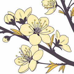 Illustration of cherry blossoms on a branch, showcasing the delicate petals and soft colors, creating a serene and elegant scene