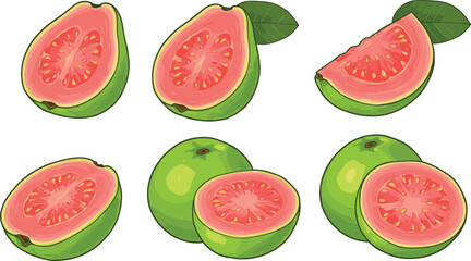 Fresh guava fruit illustration, whole guavas, sliced guava, pink flesh, tropical exotic fruit, organic healthy food, botanical drawing, seasonal harvest nutrition