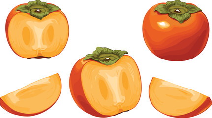 Fresh ripe persimmon fruit illustration, whole persimmons, sliced persimmons, juicy orange pulp, healthy tropical fruit, organic food, botanical drawing, seasonal harvest