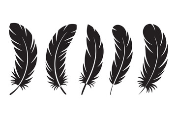 Fototapeta premium Set of five black feather silhouettes isolated on white background minimalist style 