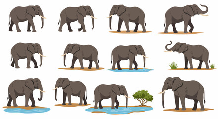 Collection of twelve illustrations of grey elephants in various poses