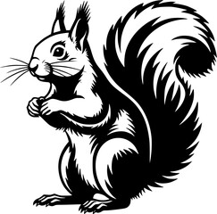 Obraz premium Black and White Squirrel, standing in a bold, graphical way, ready for action. 