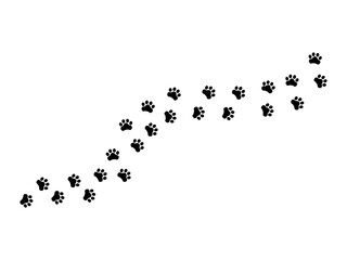 Paw Vector Icon Foot Trail Print of Cat or Dog Tracks Isolated on White Background
