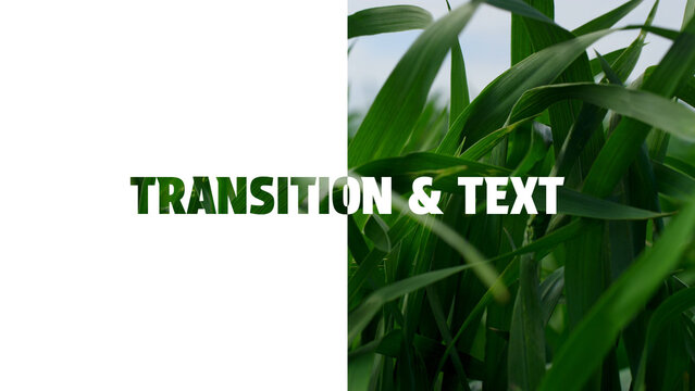 Text & Transitions Template