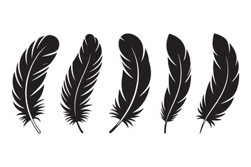 Obraz premium Set of five black feather silhouettes isolated on white background minimalist style 