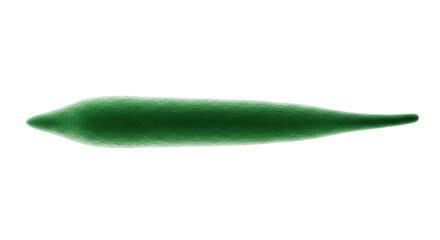 Isolated Okra Pod Vegetable Edible, Horizontal, Green, Dieting, Healthy Food, Plant, Raw, Delicious