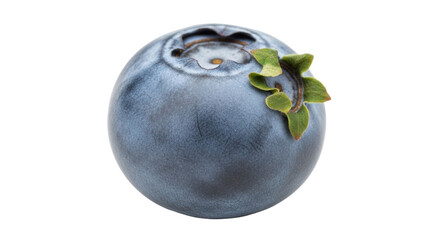 Isolated ripe blueberry close up with stem and leaves, healthy organic food product