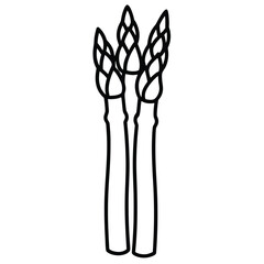 asparagus bunch vector line art icon