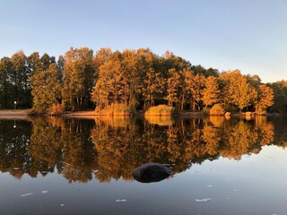 golden hour, yellow trees illuminated by the setting sun are reflected in the mirror-like water of the river