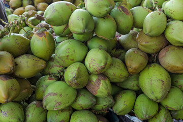 Green coconut in Market Closeup photos