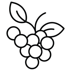 berries  vector line art icon © Suro