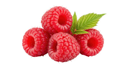 Isolated fresh raspberries with leaves, sweet juicy delicious summer fruit closeup, healthy snack