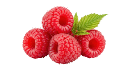 Isolated fresh raspberries with leaves, sweet juicy delicious summer fruit closeup, healthy snack