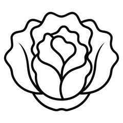 butterhead lettuce vector line art icon