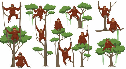Illustrations of various orangutans climbing and resting in jungle trees © Faisal