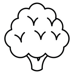 cauliflower vector line art icon
