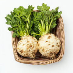 Two fresh celeriac root vegetables in basket