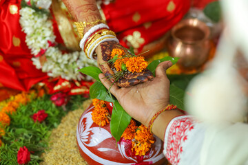 wedding couple hand Close up Photo