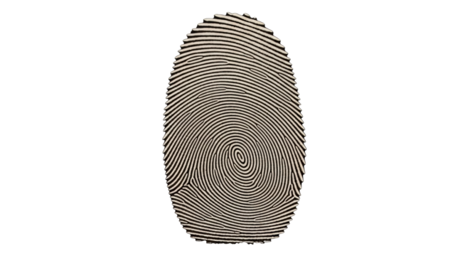 Isolated Human Fingerprint Impression, Individual Identity, Forensics Evidence Pattern