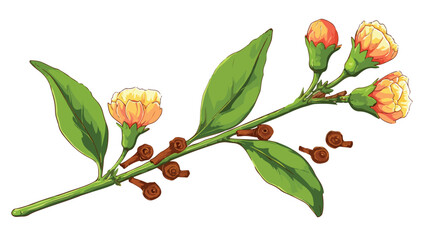 Cloves Flower Branch with Buds and Spice Vector Illustration
