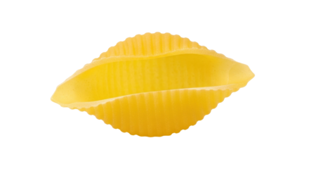 Isolated conchiglie pasta, uncooked shell shaped pasta, durum wheat flour, food ingredient